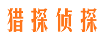 崇文市侦探调查公司